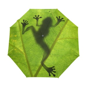 Paraguas infantil con diseño de rana de hojas verdes sobre fondo blanco