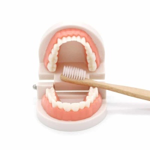 Cepillo de dientes de juguete con boca abierta y cepillo de dientes de madera