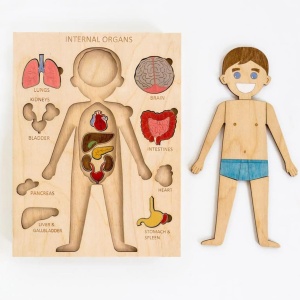 Puzzle de madera pintable del cuerpo humano para niños